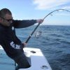 MC Works Southern Deep Ultimate Monster SD538XX - Saltywater