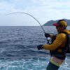 MC Works Wild Breaker WB109HR - Saltywater Tackle Inc.