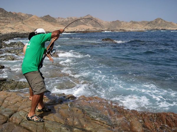 Saltywater Tackle El Maestro Series Blank