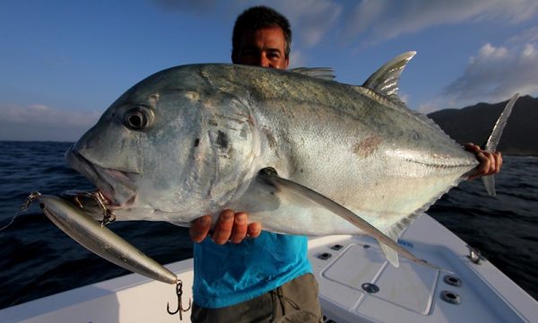 Saltywater Tackle El Maestro Series Blank