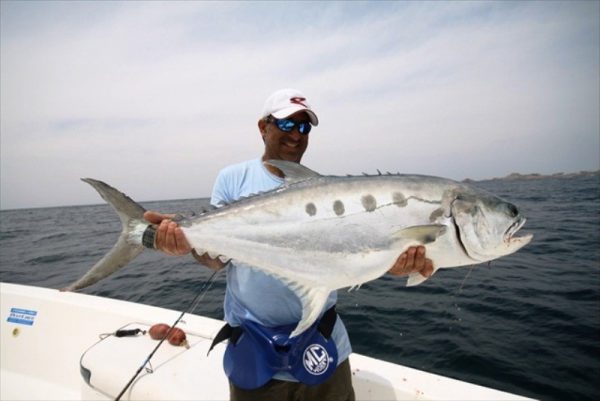 Saltywater Tackle El Maestro Series Blank