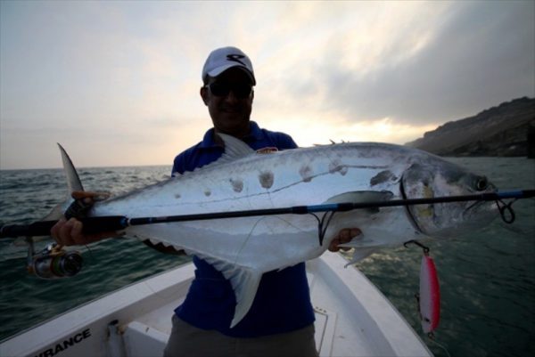 Saltywater Tackle El Maestro Series Blank