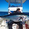 CB ONE ロデオ200 CB One Rodeo 215 Saltywater Tackle Special - Saltywater