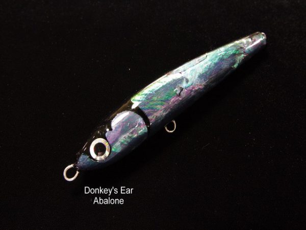 Keiko Donkey's Ear Abalone