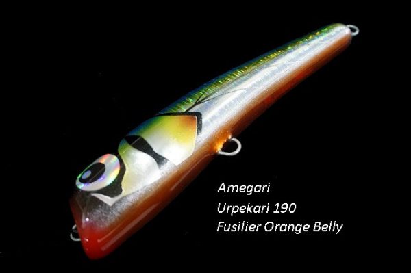 Urpekari 190 Fusilier Orange Belly With Wing