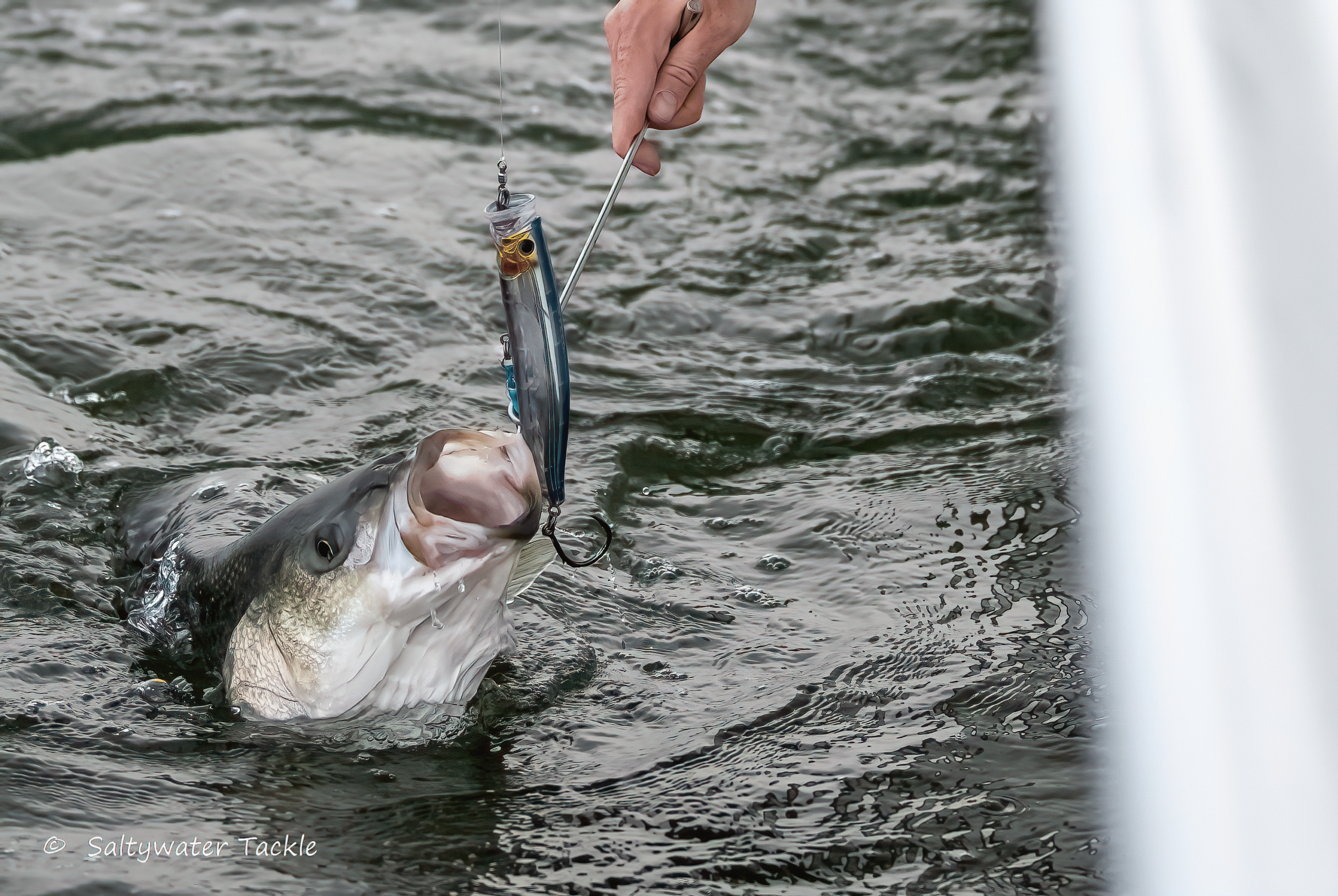 Tackle House Feed Popper