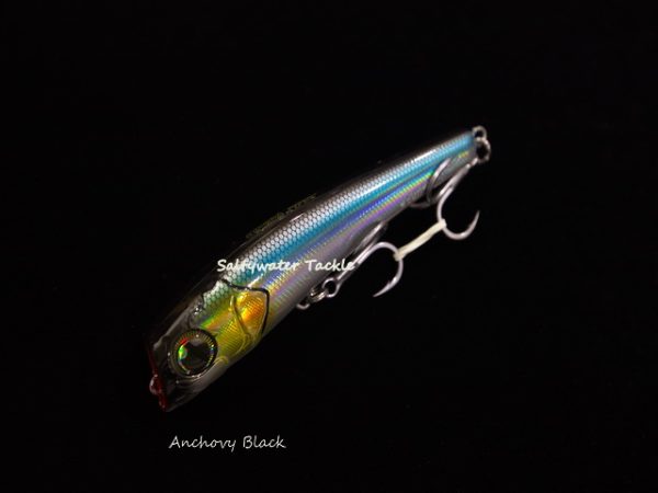 Black Anchovy