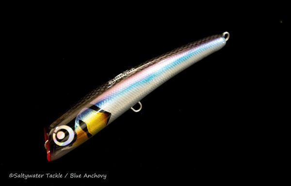 Blue Anchovy