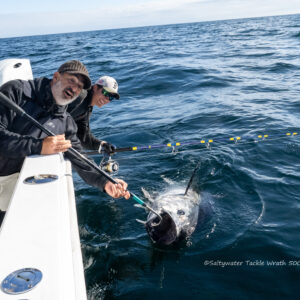 Saltywater Tackle Wrath 500 (Sami's Reserve)